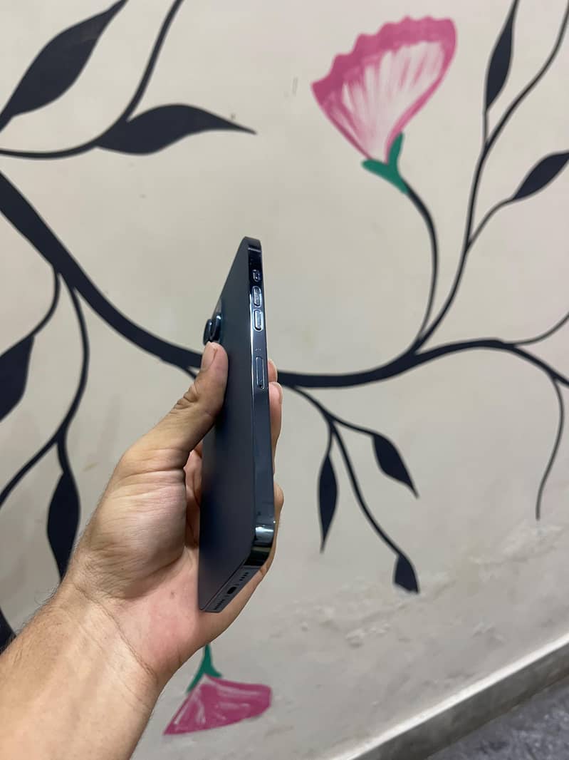 Apple iPhone 12 Pro Max 7