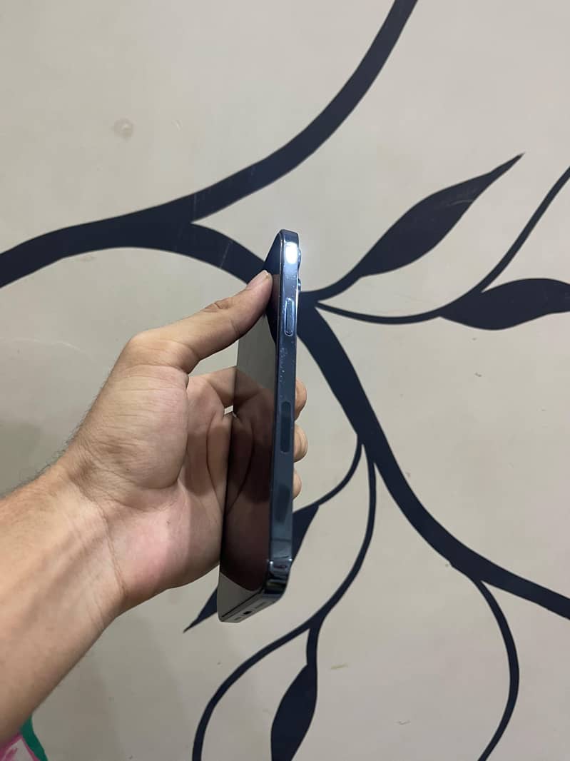 Apple iPhone 12 Pro Max 8