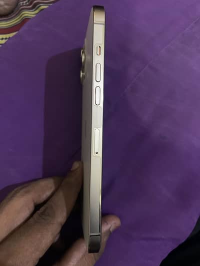 iPhone 12 Pro Max dual pta 128gb
