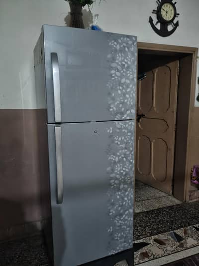 hairs fridge