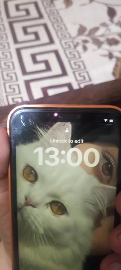 Apple iPhone XR convert into 17 pro max