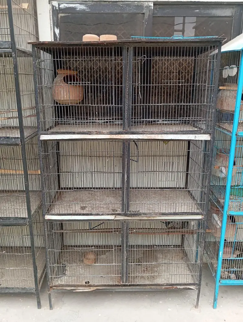 Bird cage x3 — photo 2