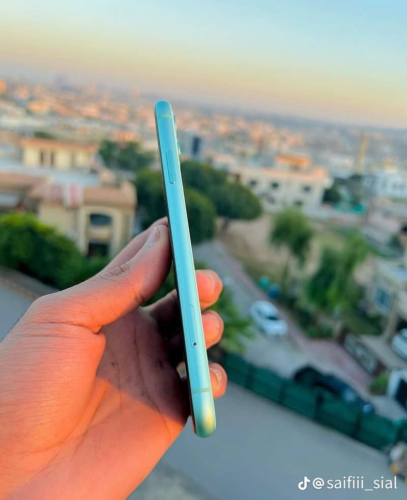 Apple iPhone 11 0