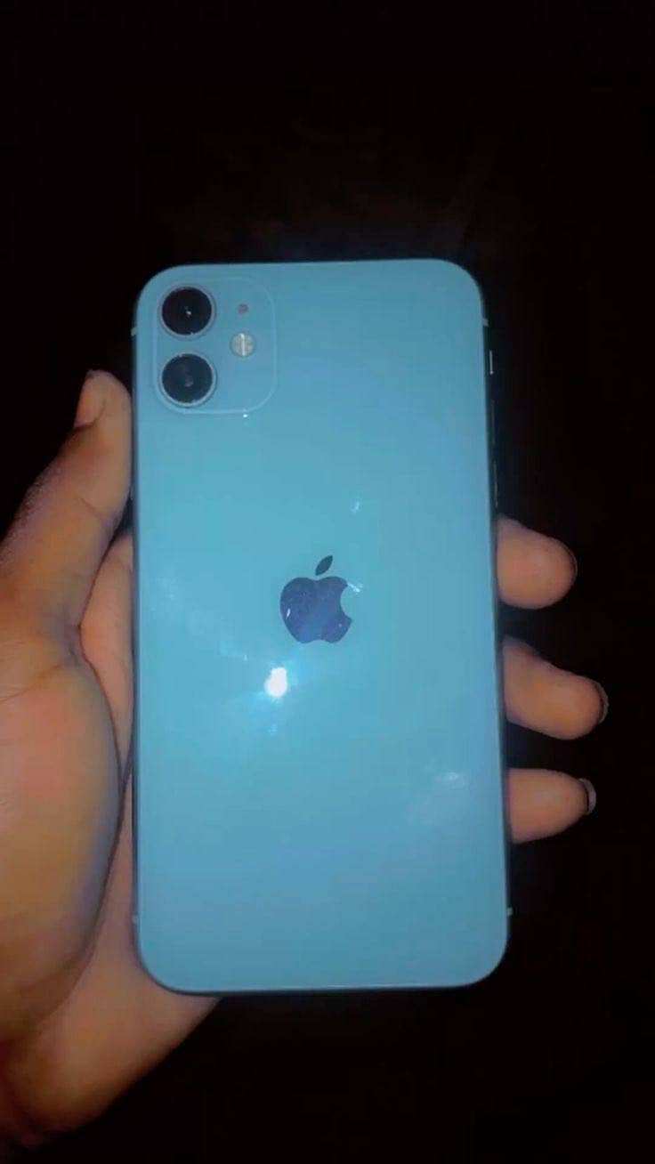 Apple iPhone 11 0