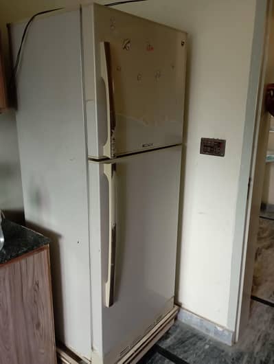 PEL FULL SIZE REFRIGERATOR