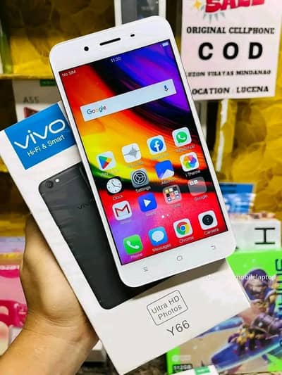 Vivo y 66