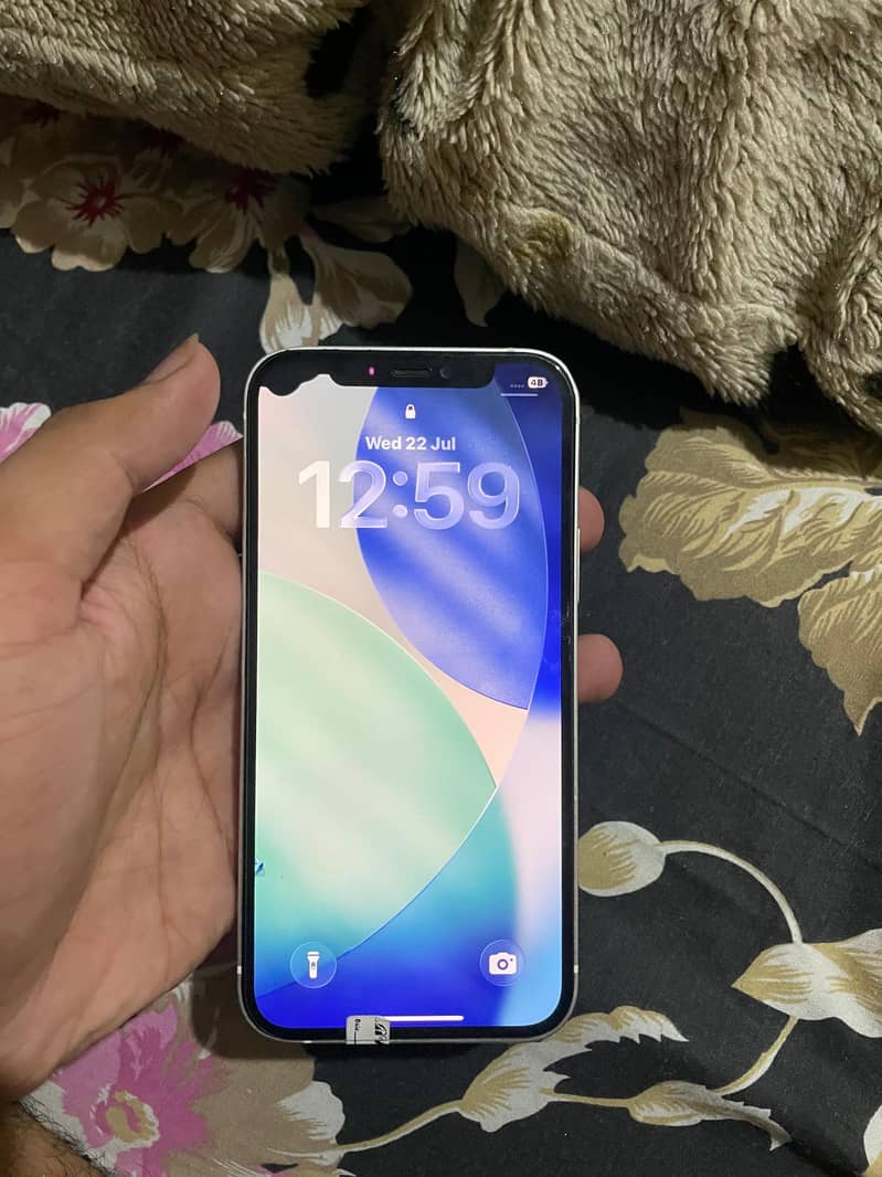 Apple iPhone 12 1