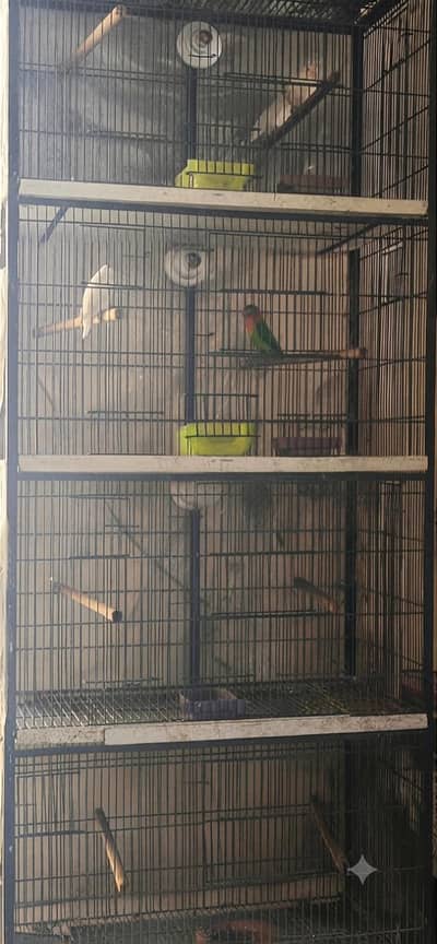 2.5 by 1.5 spot welding cage