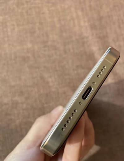 Apple iPhone 16 Pro Max dual sim