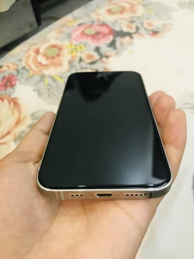 Apple iPhone 12 Pro