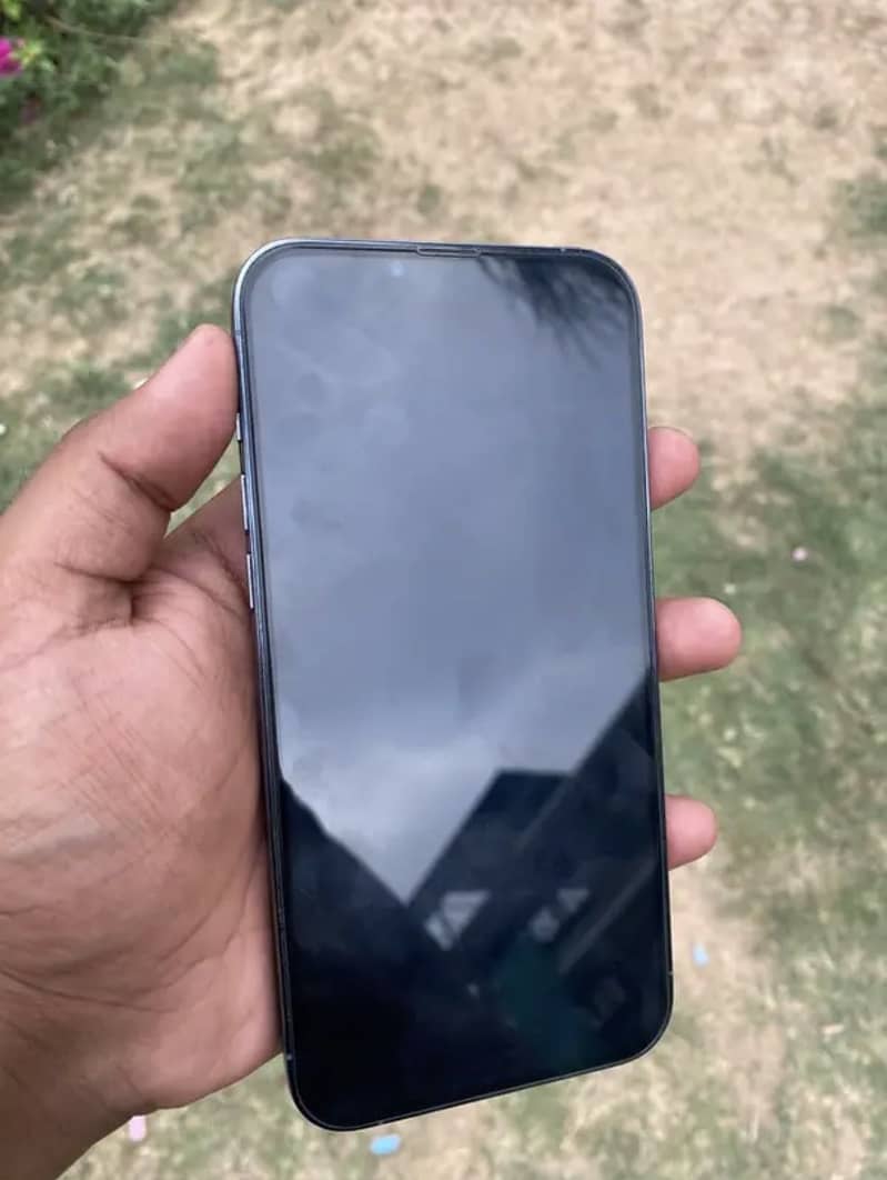 Apple iPhone 13 Pro Max 2