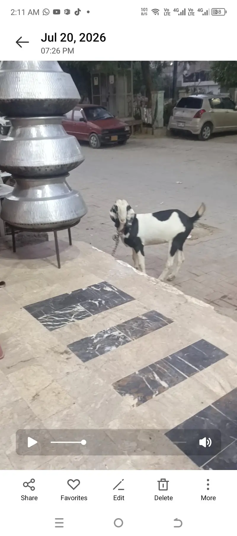 ablak bakri tapri