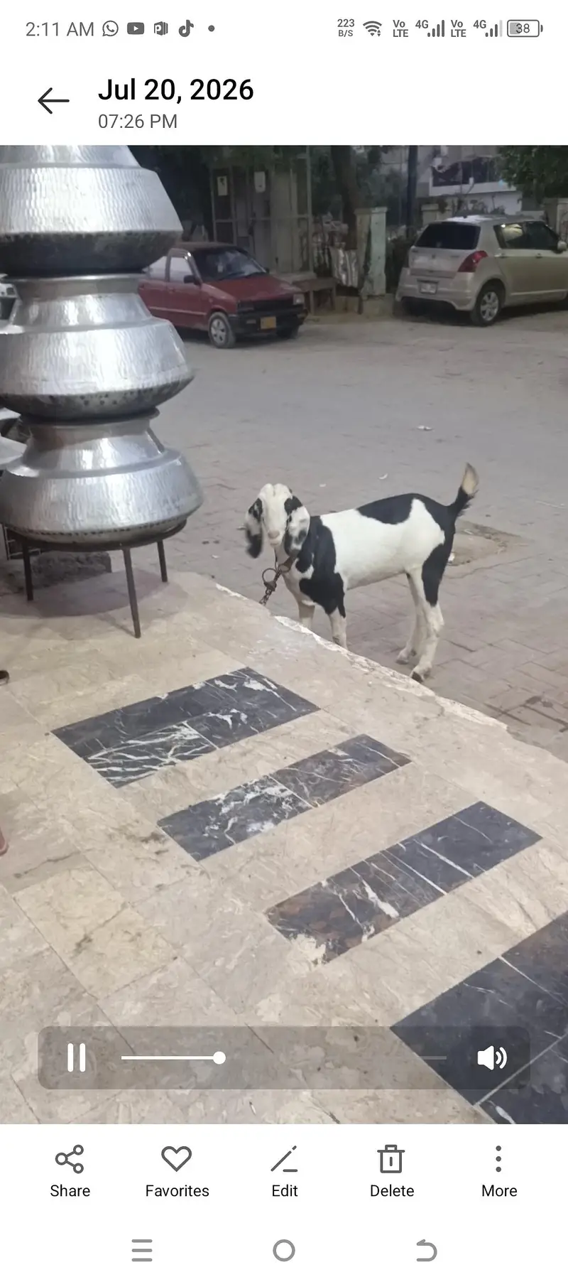 ablak bakri tapri — photo 2