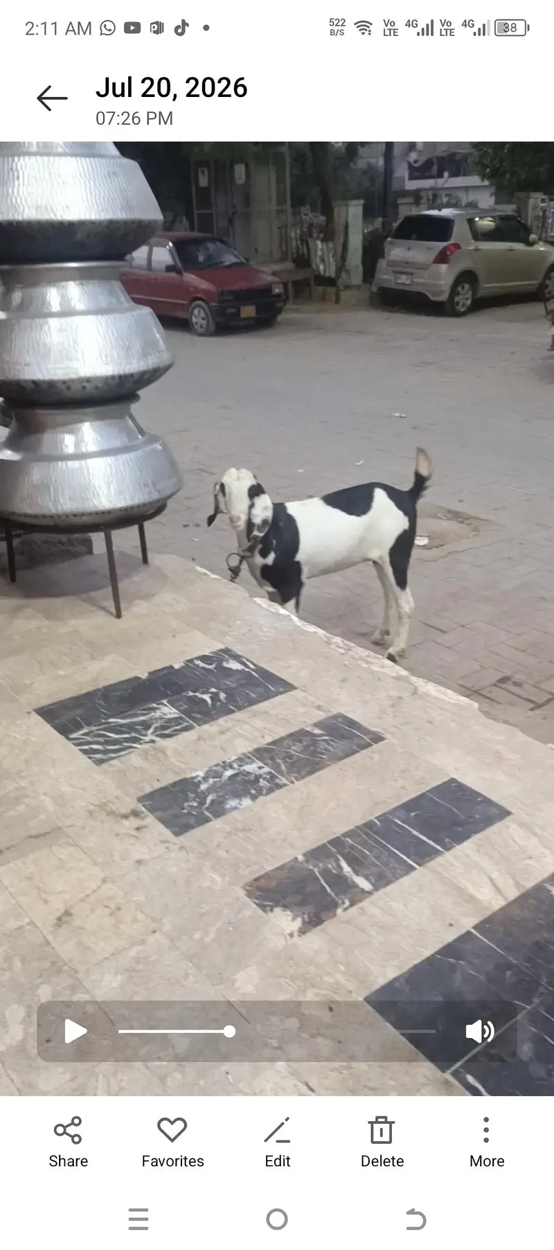 ablak bakri tapri — photo 4