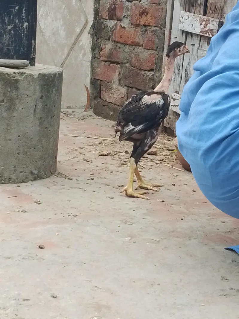 jis Bhi ko smj aye wo Bhi rbta kar ly — photo 2