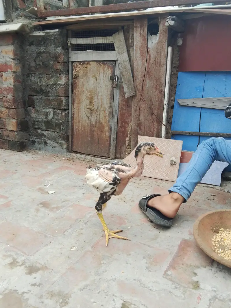 jis Bhi ko smj aye wo Bhi rbta kar ly — photo 3