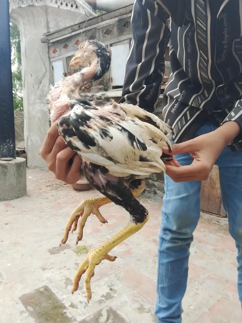 jis Bhi ko smj aye wo Bhi rbta kar ly — photo 5
