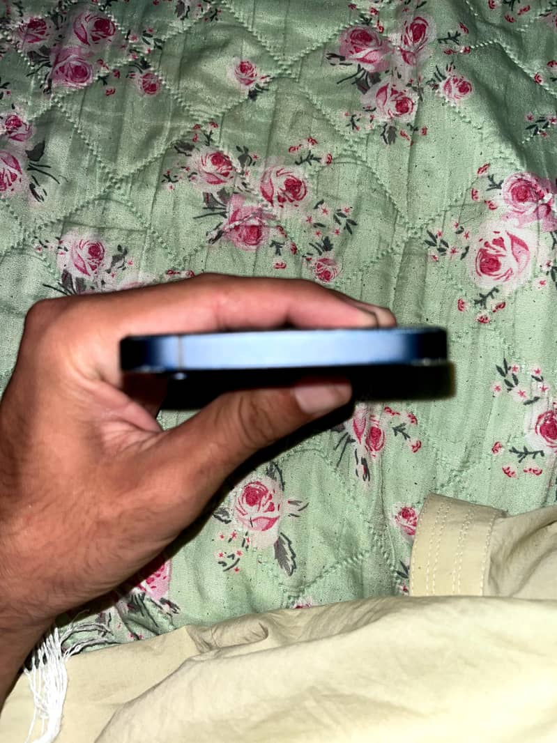 Apple iPhone 12 1
