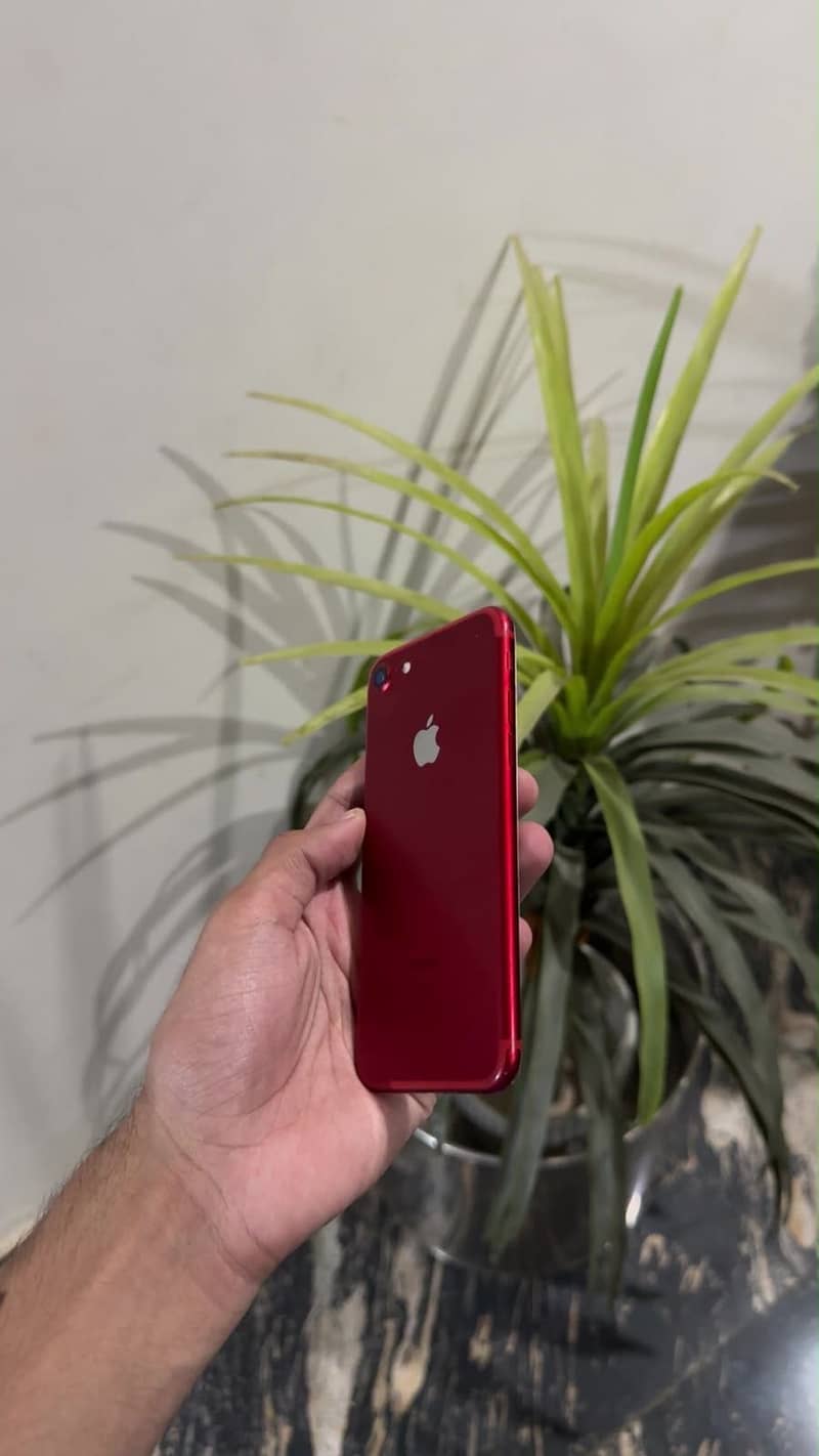 Apple iPhone 7 1