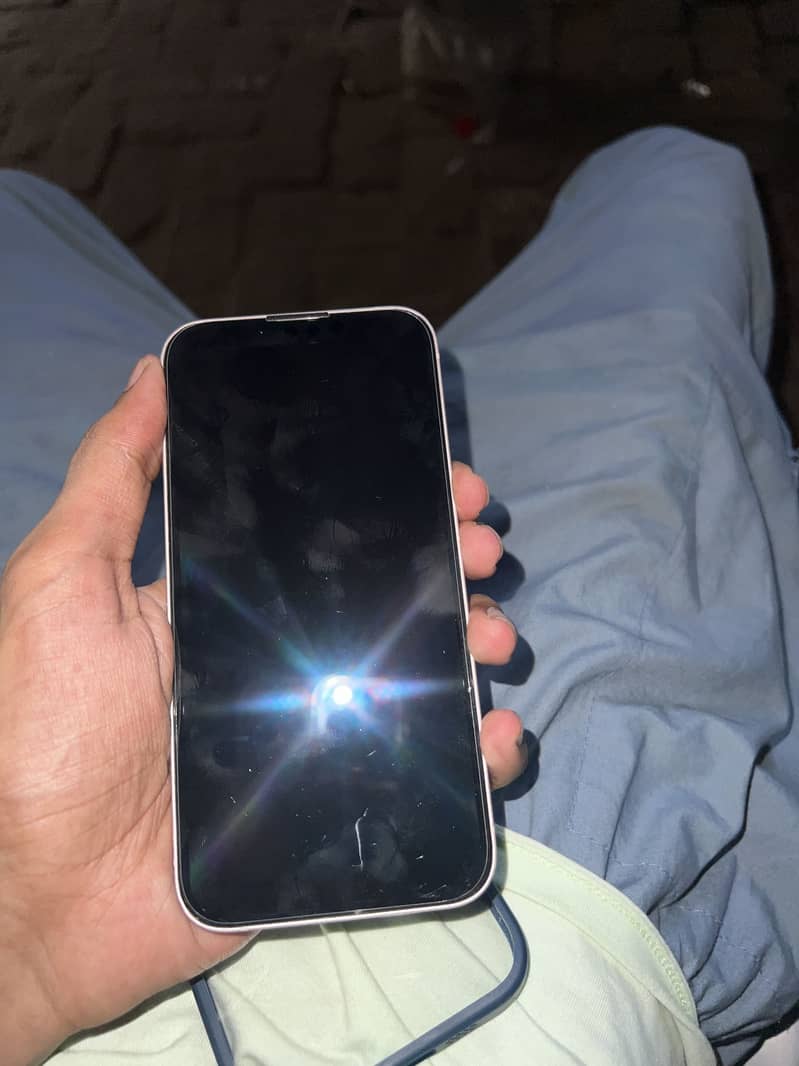Apple iPhone 13 0