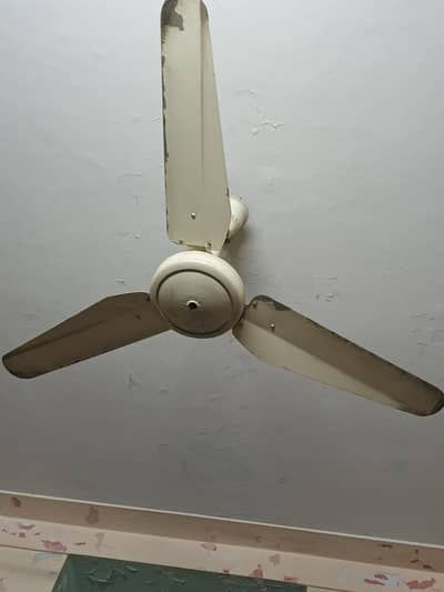 ceiling fan in Good condition original Cooper winding no open or repa