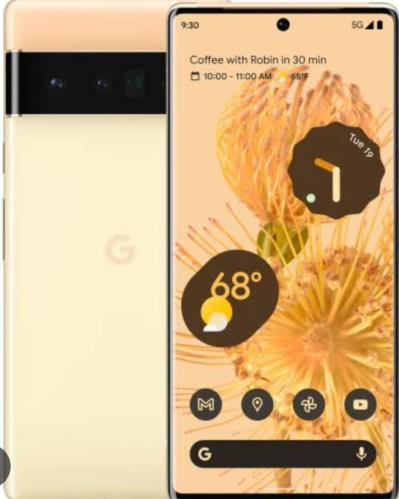 Google Pixel 6 Pro 1