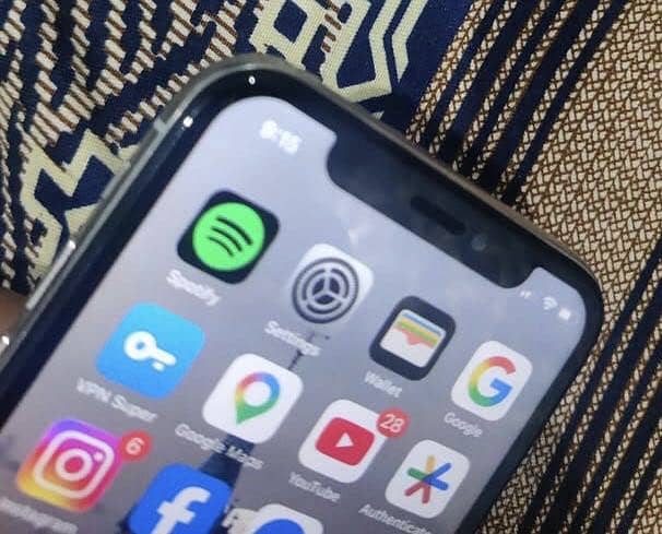 Apple iPhone X 1