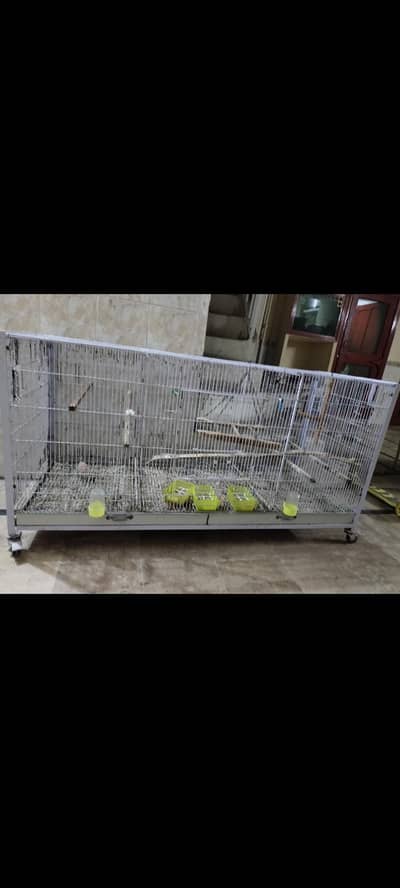colony cage