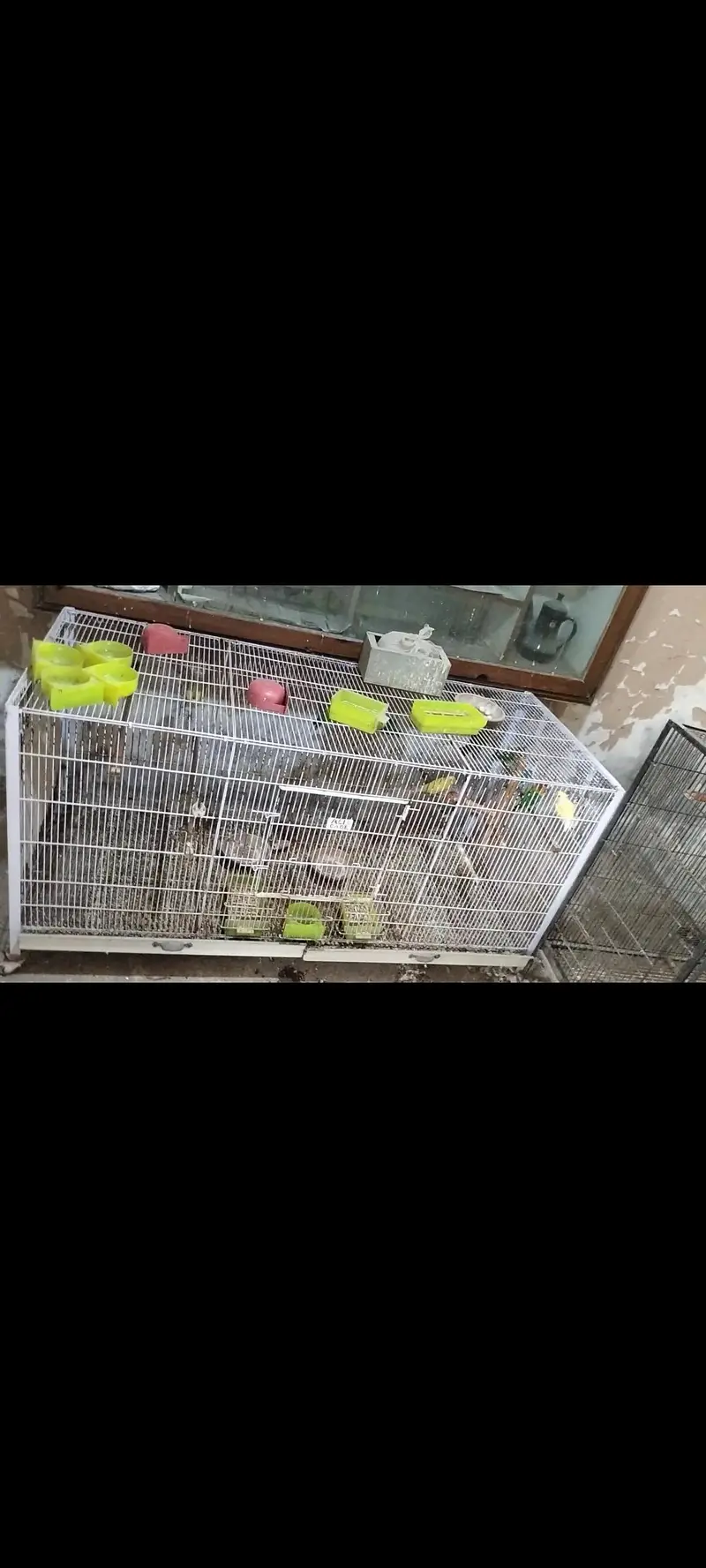 colony cage — photo 2