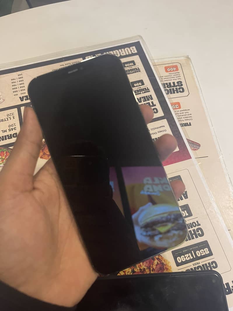 Apple iPhone 12 Pro Max 1