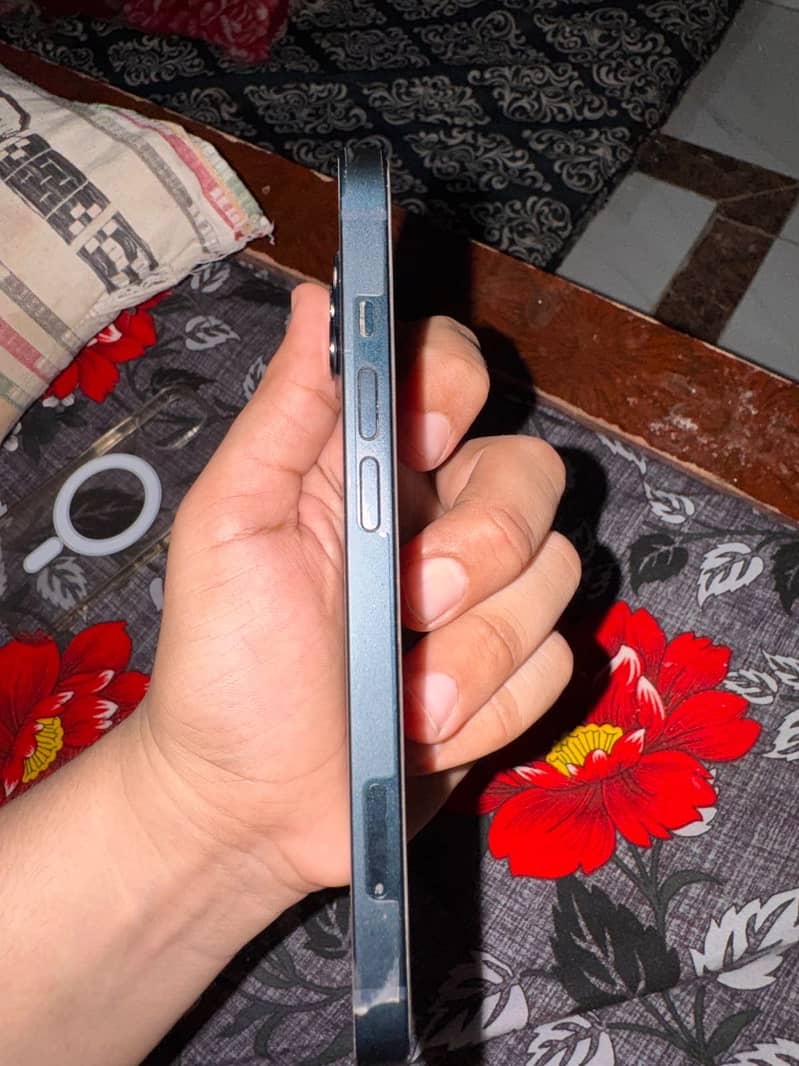 Apple iPhone 13 0