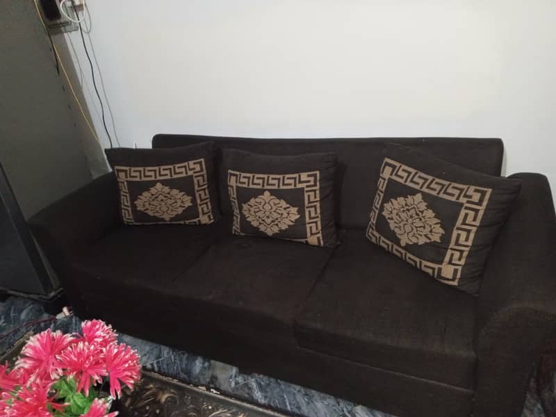 6 seater 1