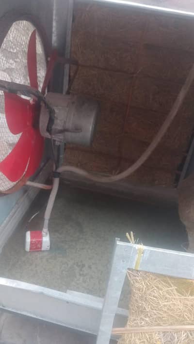 Air Cooler