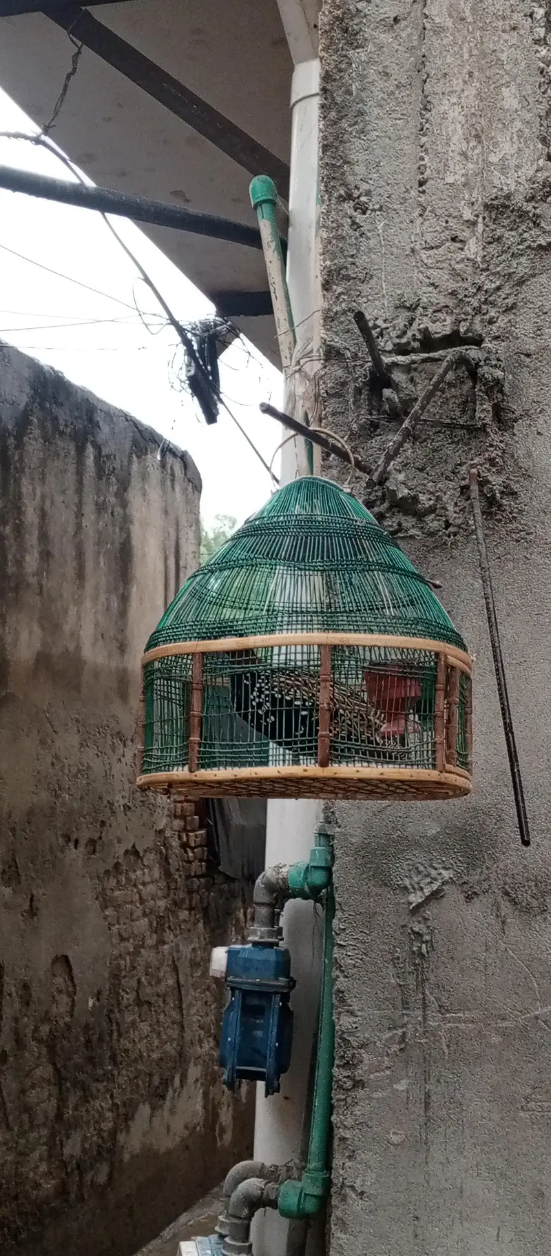 کالا تیتر فور سیل — photo 3
