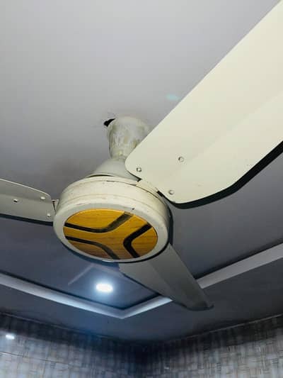 Ceiling Fan