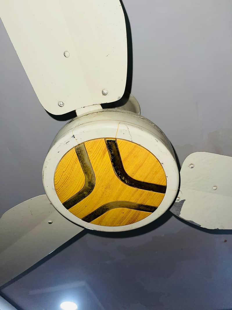 Ceiling Fan 1