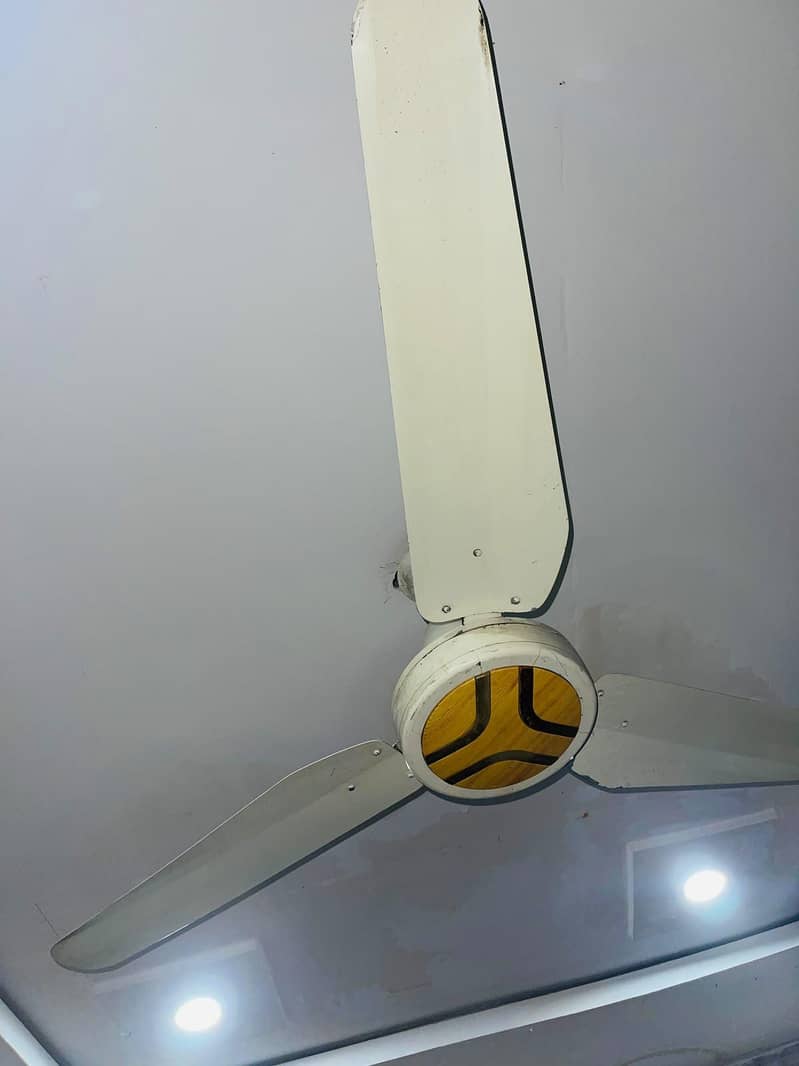 Ceiling Fan 2