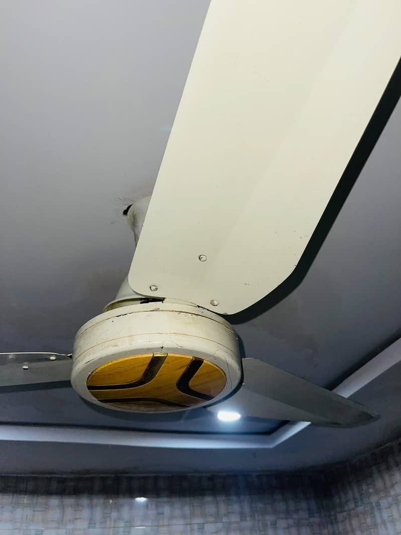 Ceiling Fan 3