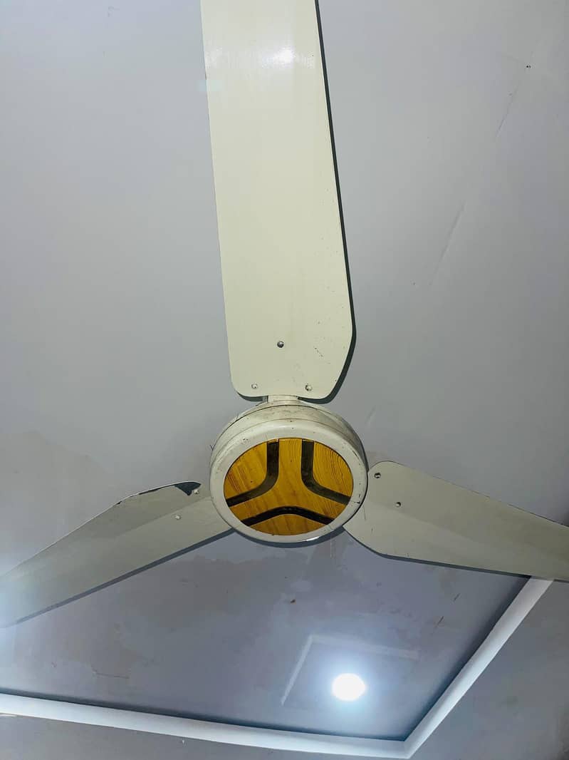 Ceiling Fan 4