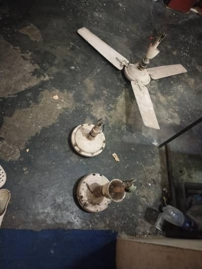 pure coper fan for sell