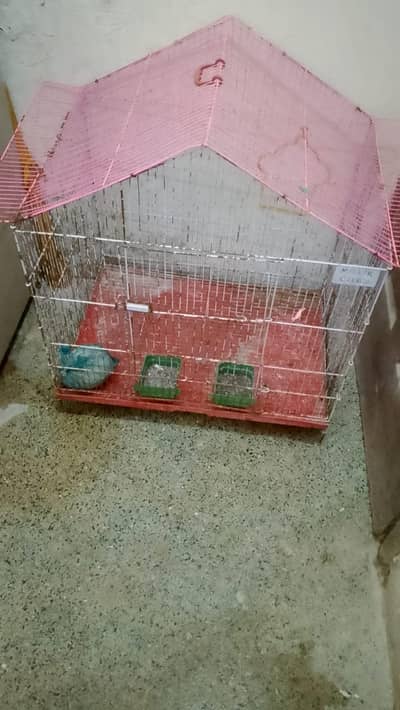 Full size cage available final price 3800