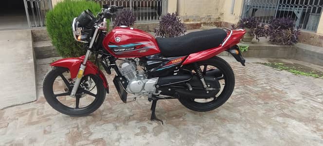 Yamaha 2023 YBR DX