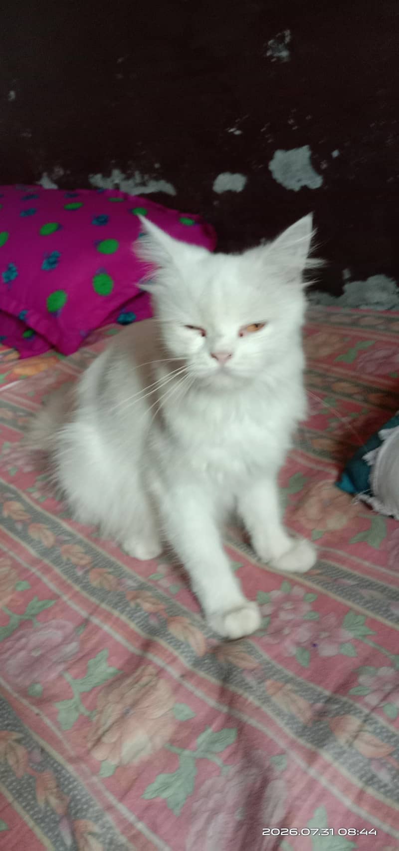 well ‍ 1