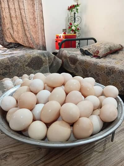 Pure Desi Eggs Available Only For Islamabad