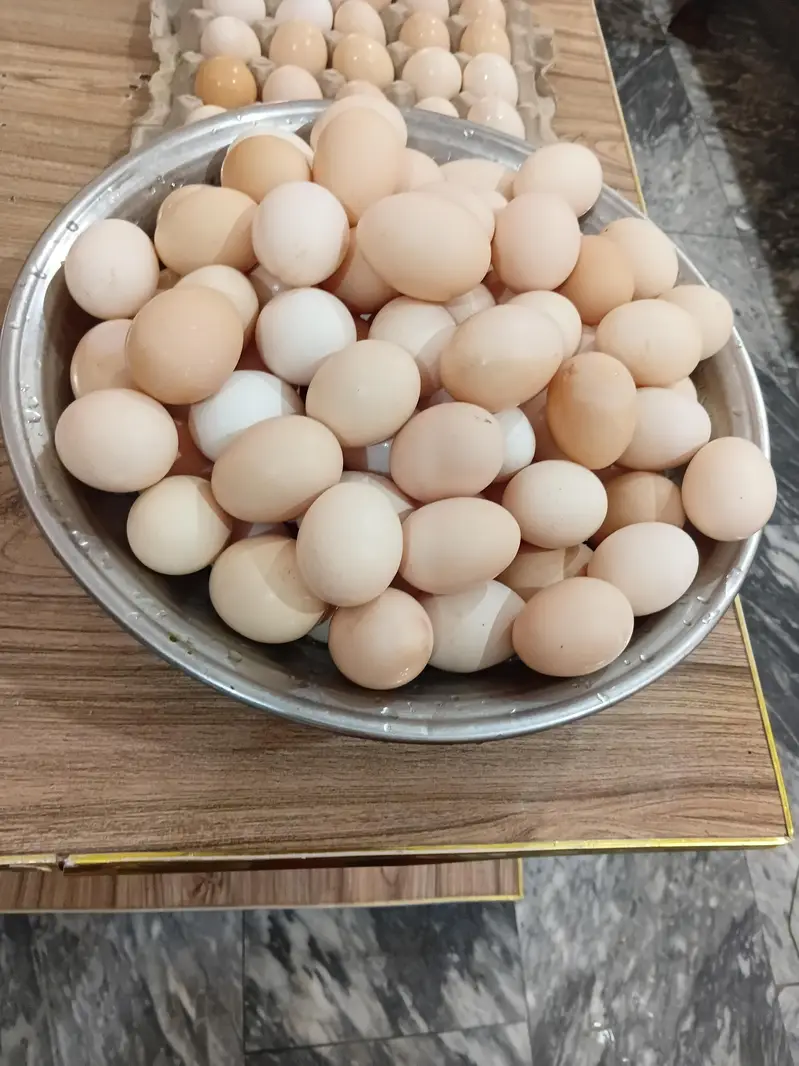 Pure Desi Eggs Available Only For Islamabad — photo 2