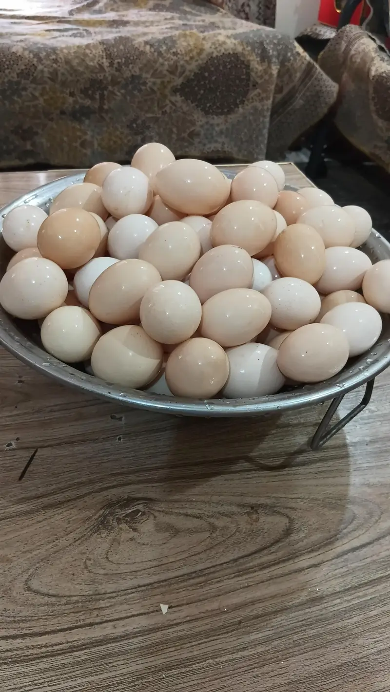 Pure Desi Eggs Available Only For Islamabad — photo 3