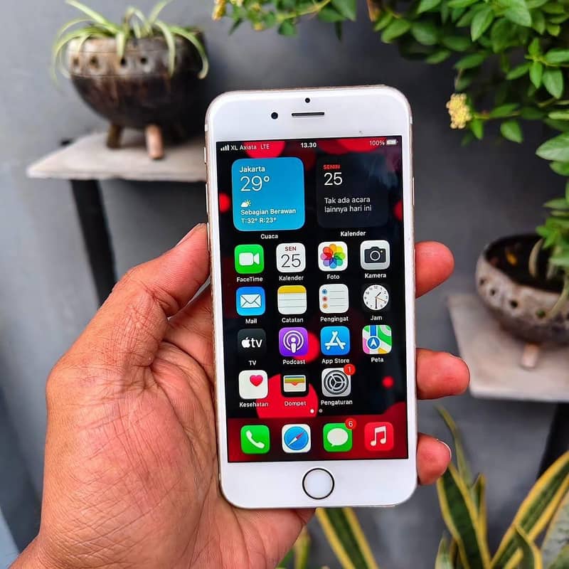 Apple iPhone 6S Plus 1