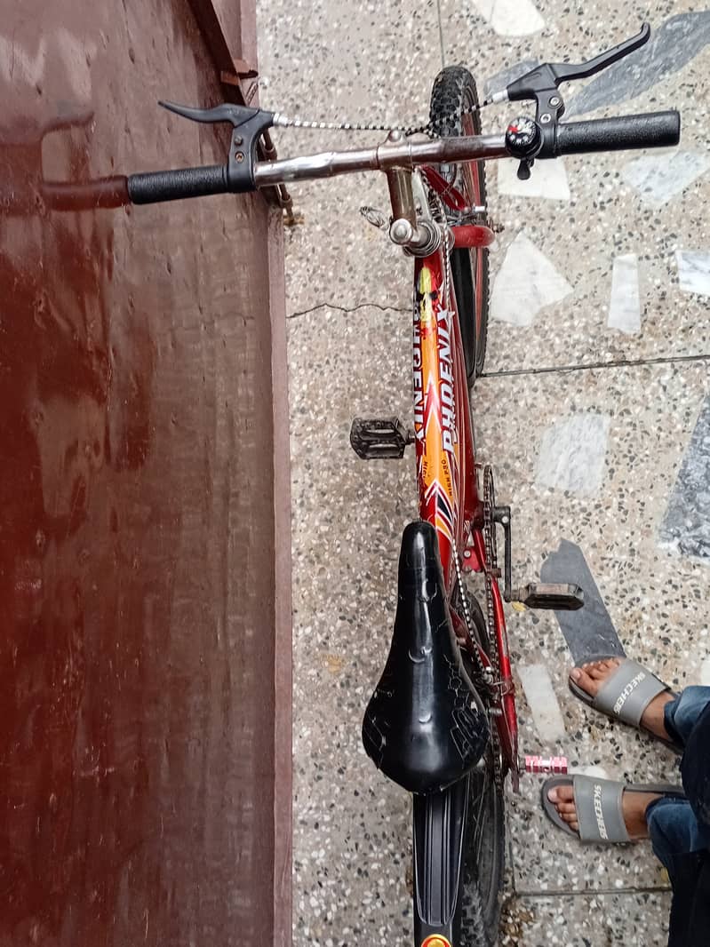 Bicycle 1