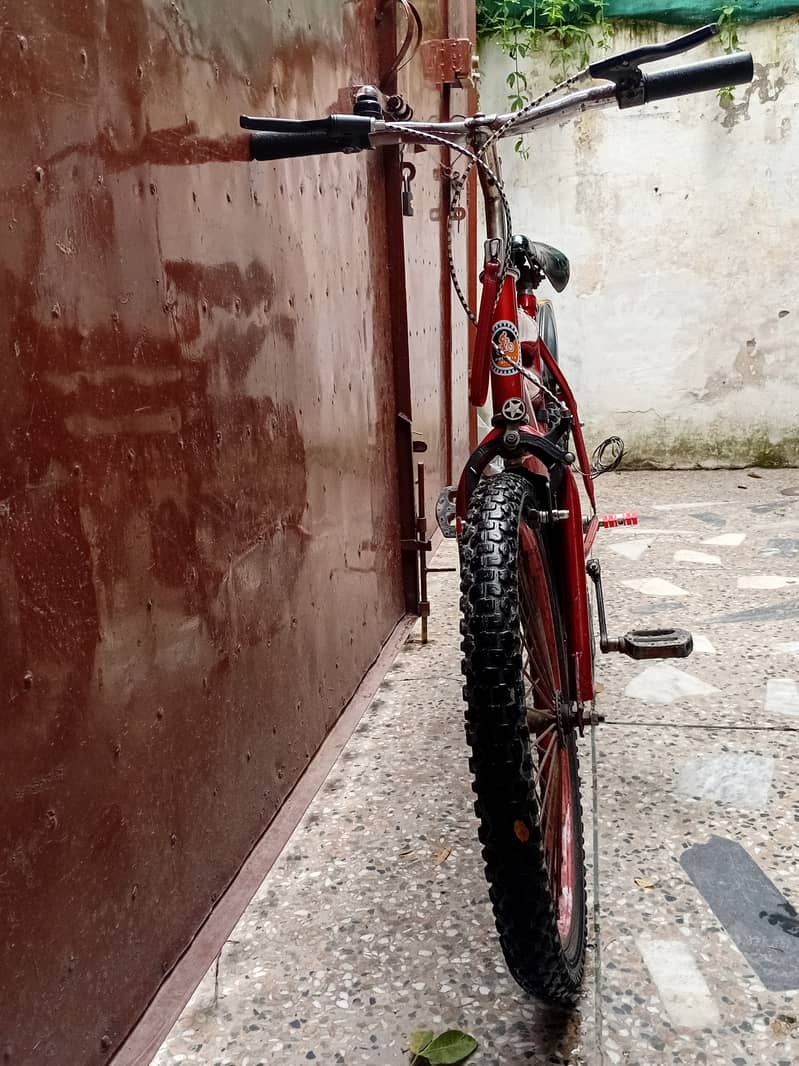 Bicycle 6