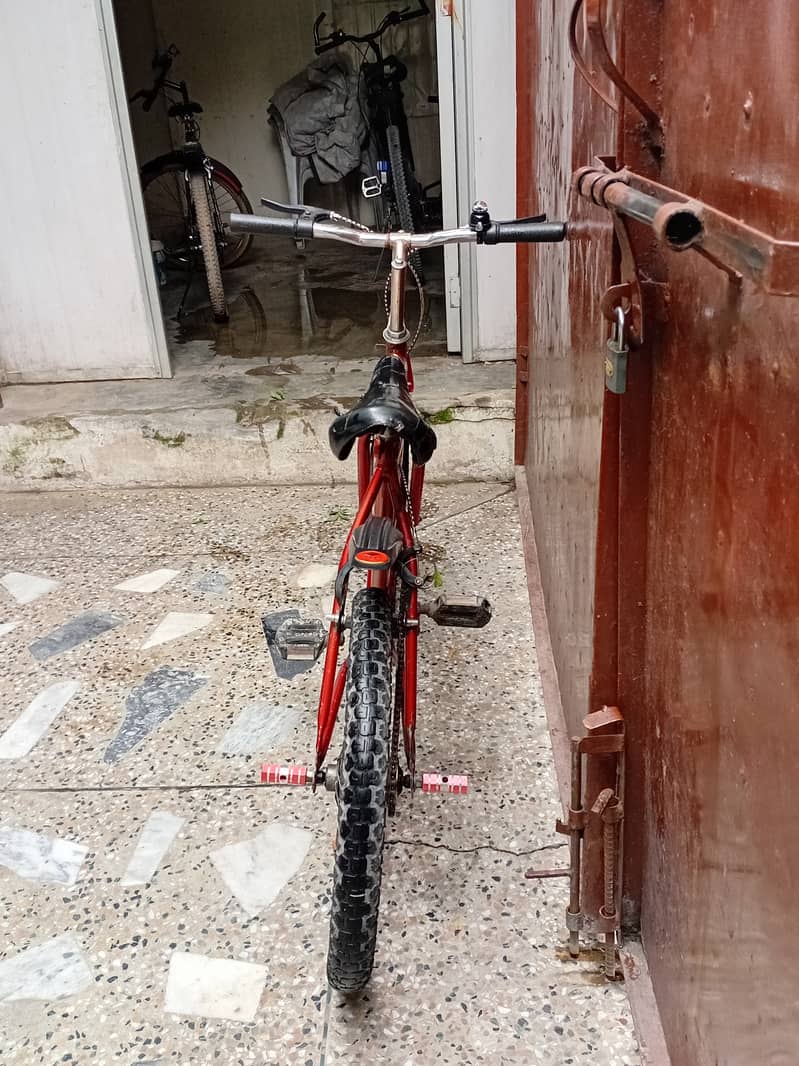 Bicycle 10